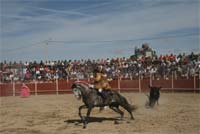 Moimenta repete tourada