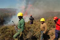 O “vício do fogo”