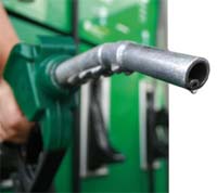 Cinco indivíduos detidos