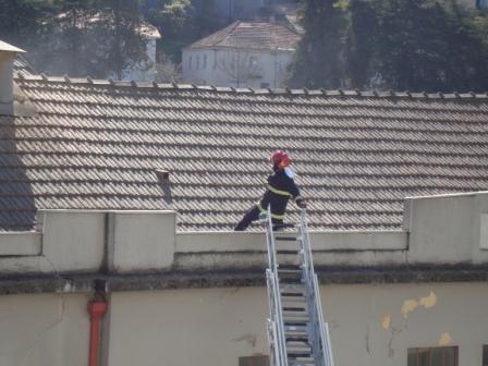 Incêndio na moagem do Loreto em Bragança