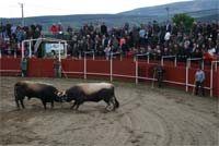 Arrancou a estrada Moimenta-Hermisende