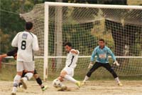 Moncorvo quer matar borrego de 12 anos