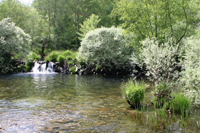 Quatro mini-hídricas para Vinhais