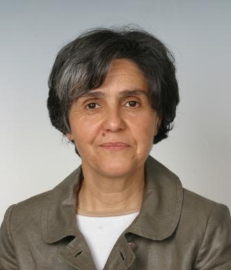 CDU apela ao fim do preconceito dos transmontanos