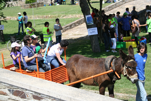 Piquenique pela Diferença