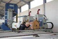 Fundo Florestal para salvar Ecolignum