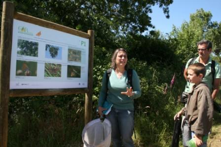 Caminho pedestre na rota da biodiversidade