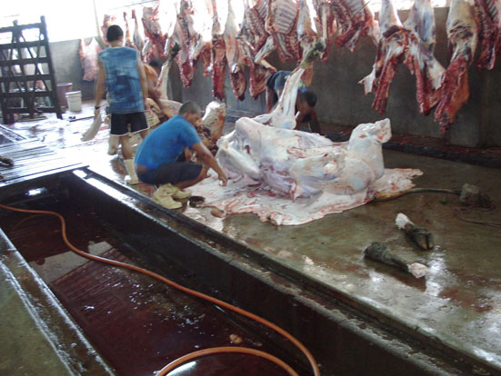 Câmara de Bragança com luz verde para entregar exploração do matadouro a privados