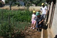 Regadio impulsiona agricultura em Rabal