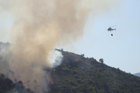 Área ardida no distrito de Bragança cresceu cinco vezes em relação ao ano passado