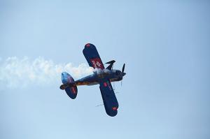 RedBurros regressa a Mogadouro