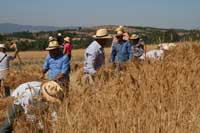 Memórias da Lombada