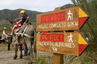 Parques unidos pelo turismo