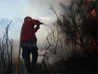Cabo eléctrico provocou incêndio no Pinheiro