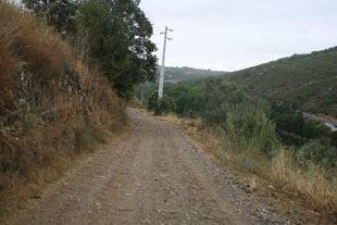 População quer asfalto até ao Colado