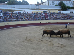 Touros batem recorde