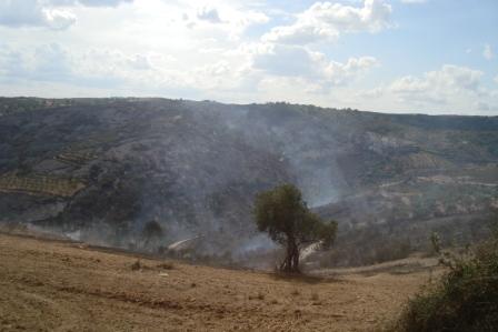 Ardeu mais nos primeiros 15 dias de Agosto que no resto do ano