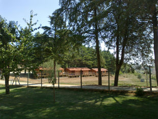 Piscina biológica para atrair turistas