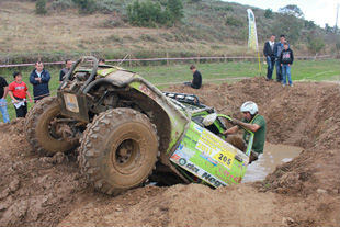 Rainforest de colheita em Vimioso
