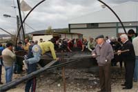 Rural Castanea foi sucesso apesar da quebra na produção