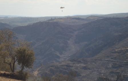 Incêndios fustigaram distrito de Bragança durante o fim-de-semana