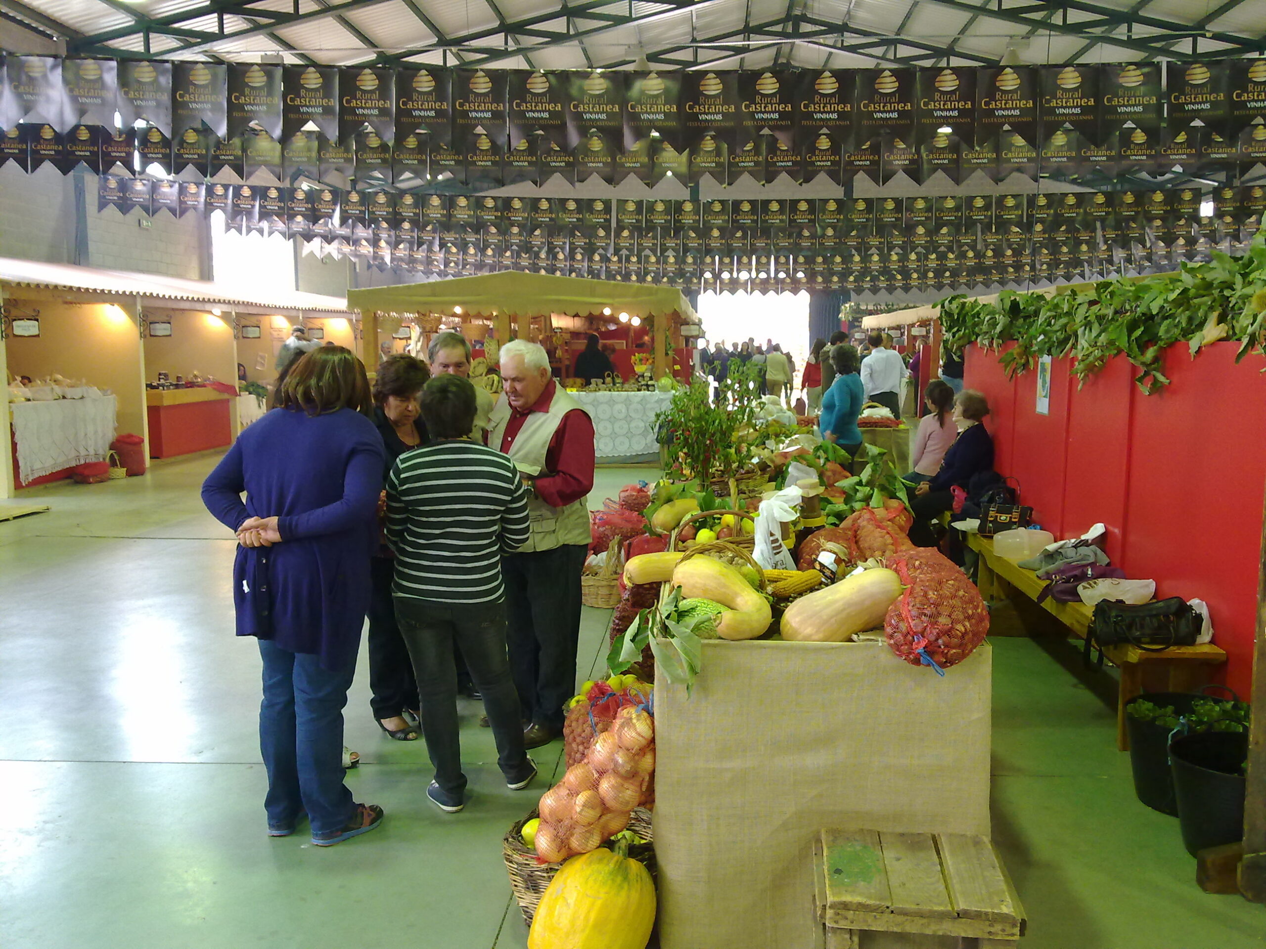 Rural Castanea de Vinhais com balanço positivo apesar de haver menos castanha