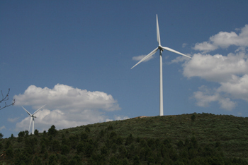 Câmara quer indemnização por suspensão do parque eólico