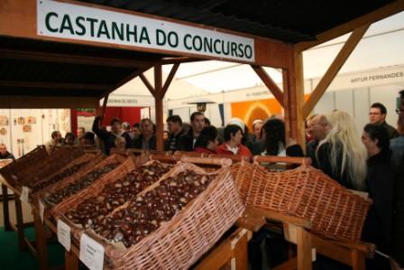Castmonte atraiu 15 mil pessoas no fim-de-semana