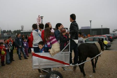 Cerca de 1400 alunos no magusto do Agrupamento Paulo Quintela