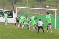 Ter o pássaro na mão e deixá-lo voar