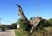 Comissão vai estudar agrupamentos de freguesias