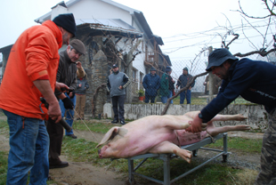 Carne para todos os gostos