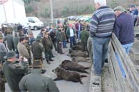 Nova autoridade confunde caçadores