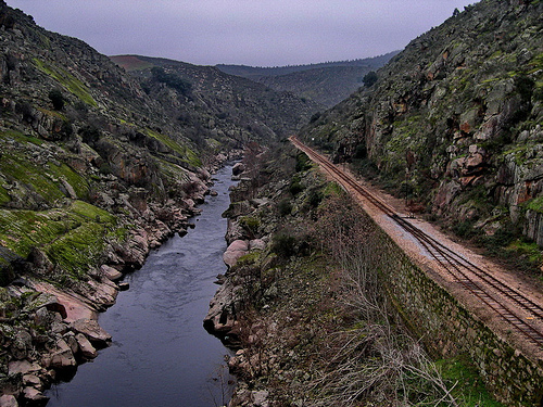 Verdes dizem que roubo de carris da linha do Tua tem interesses escondidos