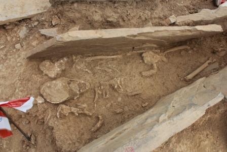 Ossos encontrados na no Felgar vão ser preservados