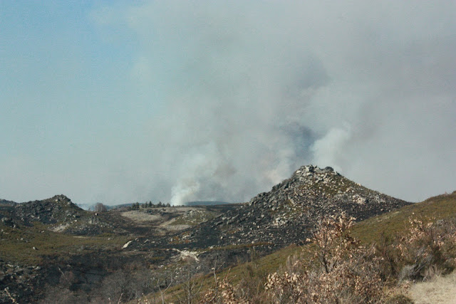 Incêndio de grandes proporções atinge Parque Natural de Montesinho