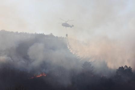 Incendio queimou 30 hectares de pinhal na aldeia de França