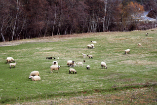 Seca é mais grave do que parece