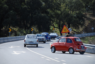 NAC ainda apanhou as amendoeiras em flor