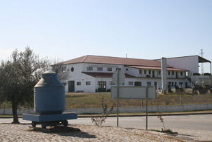 “Olivila”: o azeite com sabor a tradição