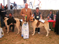 Uma feira sem fronteiras