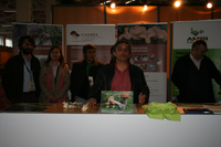 Xixorra quer zelar pelos cogumelos na Terra Fria