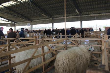 Agricultores do Planalto Mirandês desesperam pelas ajudas prometidas pelo Governo