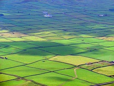 Transmontanos ofereceram resistência ao modelo de emparcelamento de terrenos agrícolas