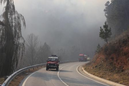 Incêndios massacram distrito de Bragança