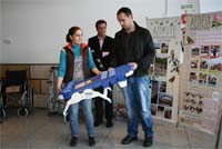 Tampas que dão sorrisos