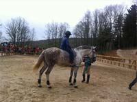 Vinhais já tem Centro Hípico