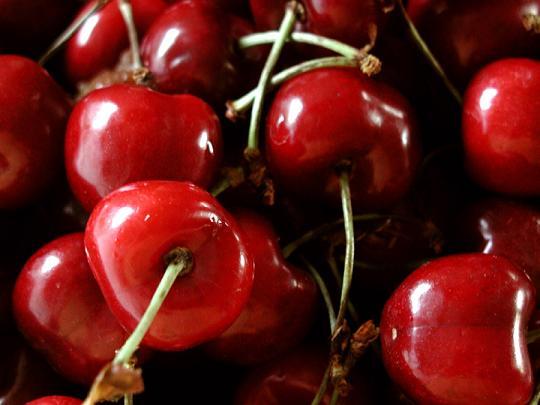 Quebra na produção de cereja em Alfândega da Fé