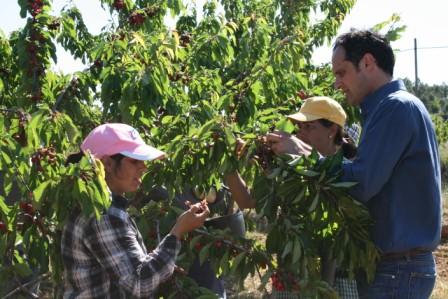 Eduardo Tavares reeleito na Cooperativa de Alfândega da Fé