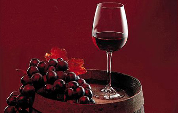 Santa Casa aumenta produção de vinho